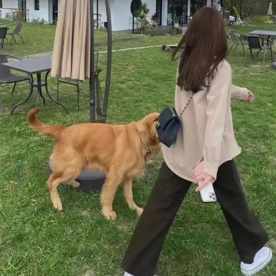 同途她是他